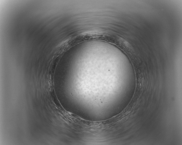 X0000064771062200602241945