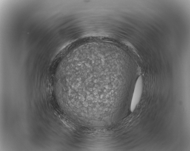 X0000064771064200602241945