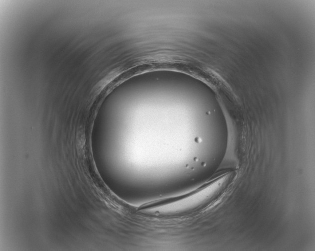 X0000064771065200602241945