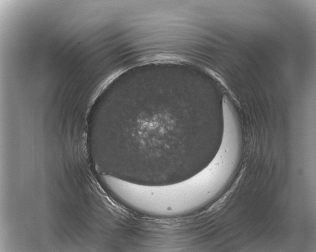 X0000064771066200602241945