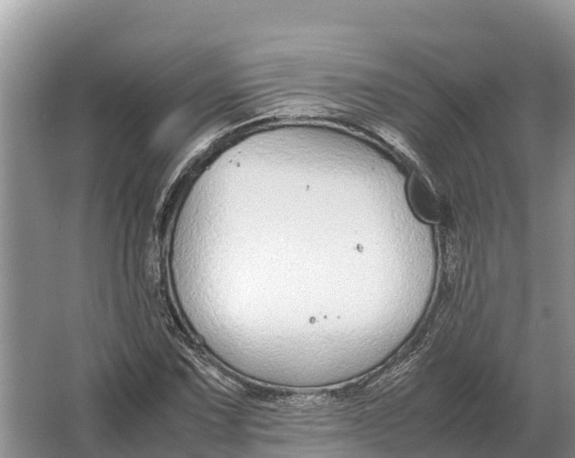 X0000064771067200602241945