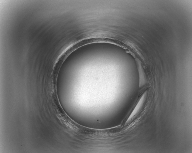 X0000064771069200602241945