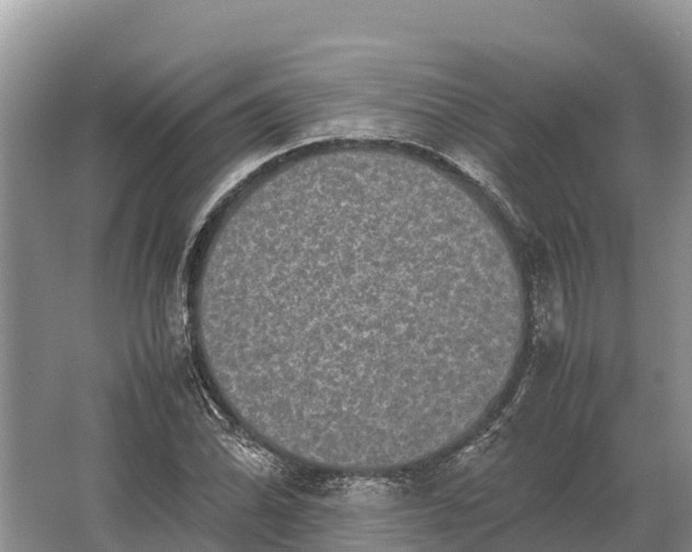 X0000064771070200602241945