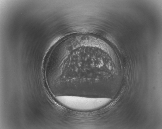 X0000064771071200602241945