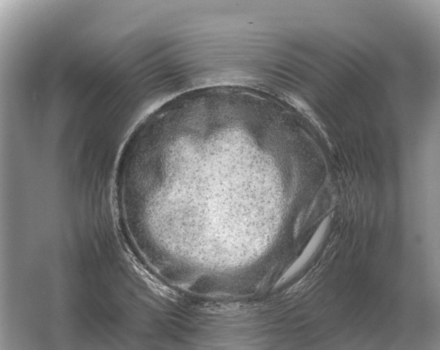 X0000064771072200602241945