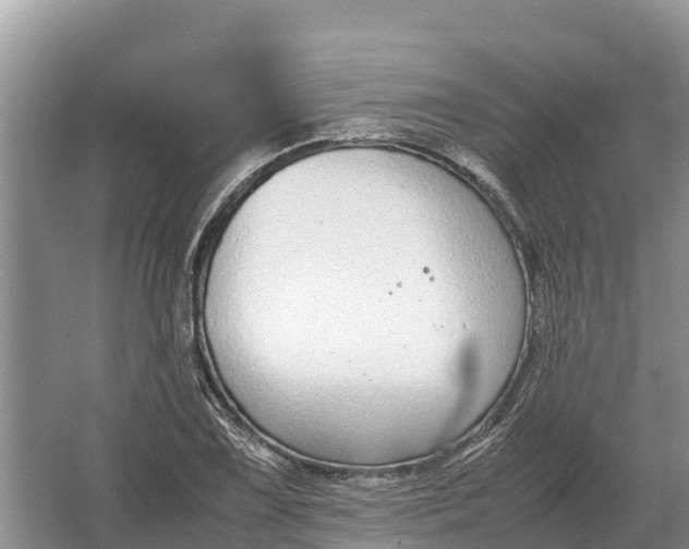 X0000064771075200602241945