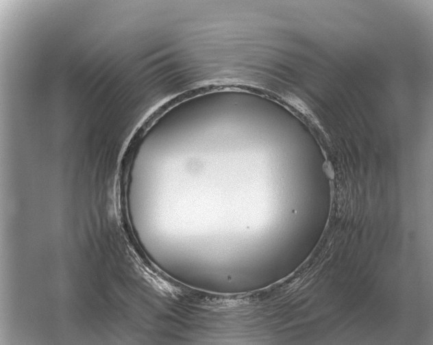 X0000064771076200602241945