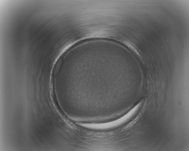 X0000064771077200602241944