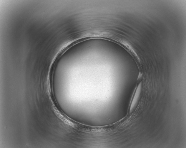 X0000064771080200602241944