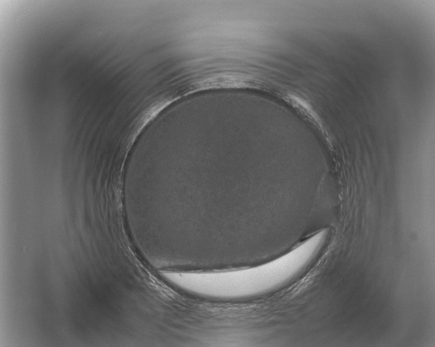 X0000064771081200602241944