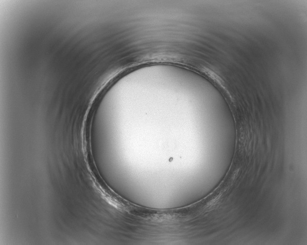 X0000064771082200602241944