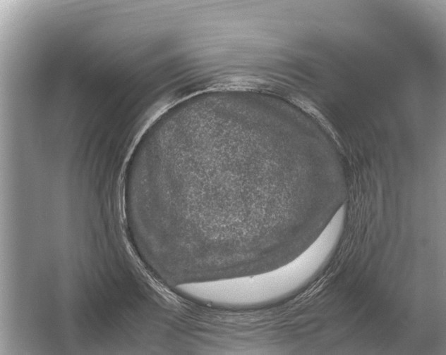 X0000064771083200602241944