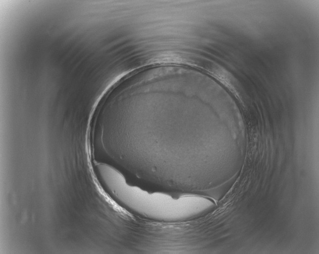 X0000064771084200602241944