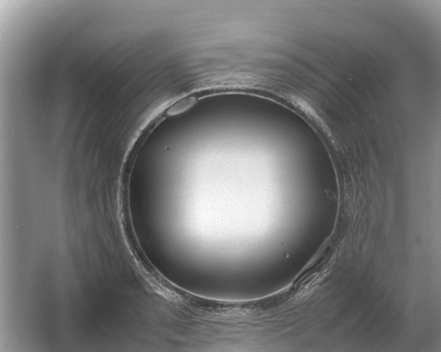 X0000064771085200602241944