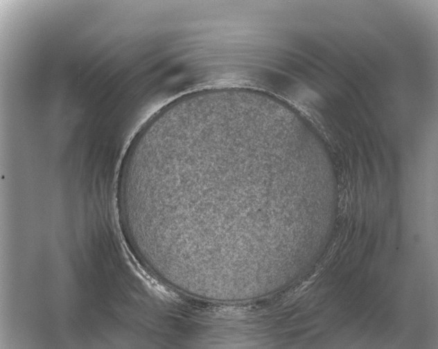 X0000064771086200602241944