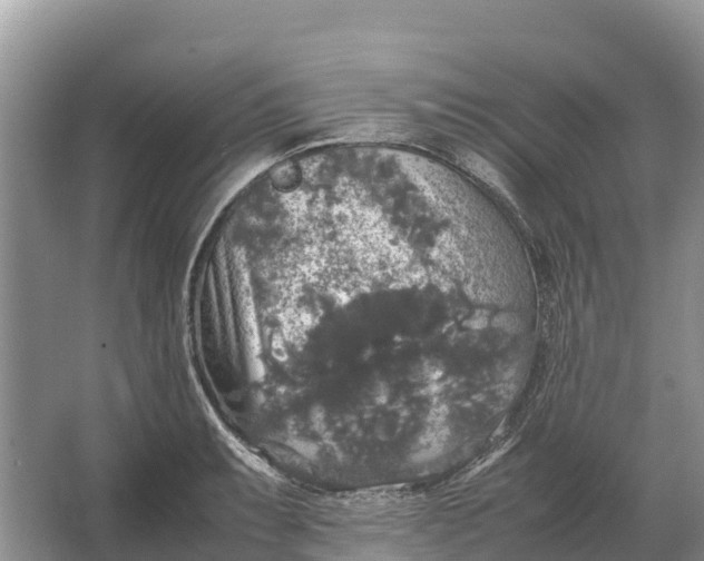 X0000064771087200602241944