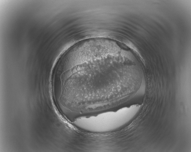 X0000064771088200602241944