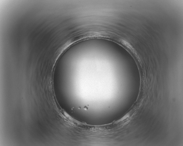 X0000064771089200602241944