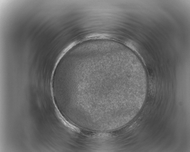 X0000064771090200602241944