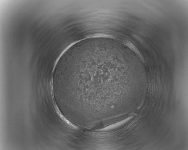 X0000064771092200602241944