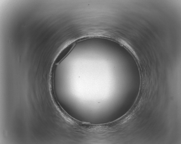 X0000064771093200602241944