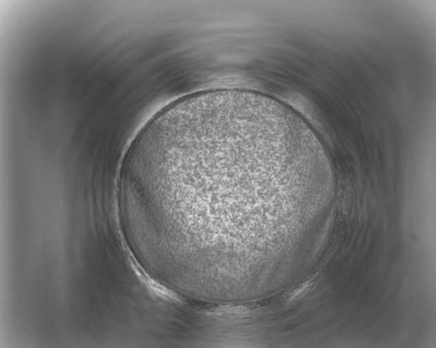 X0000064771094200602241944