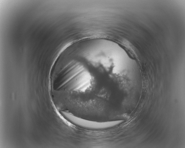 X0000064771095200602241944