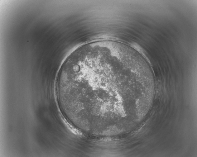 X0000064771098200602241944