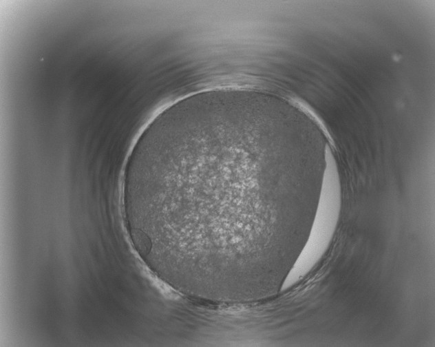 X0000064771099200602241944