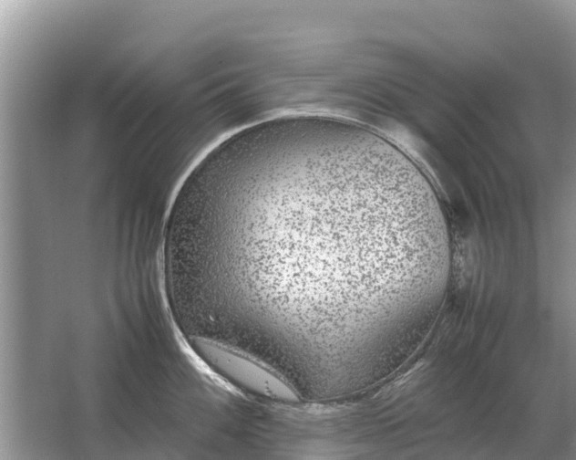 X0000064771100200602241944