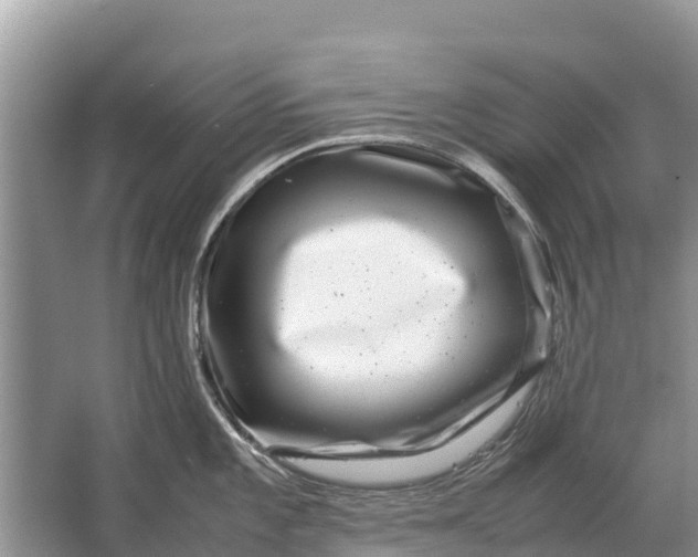 X0000064771101200602241944