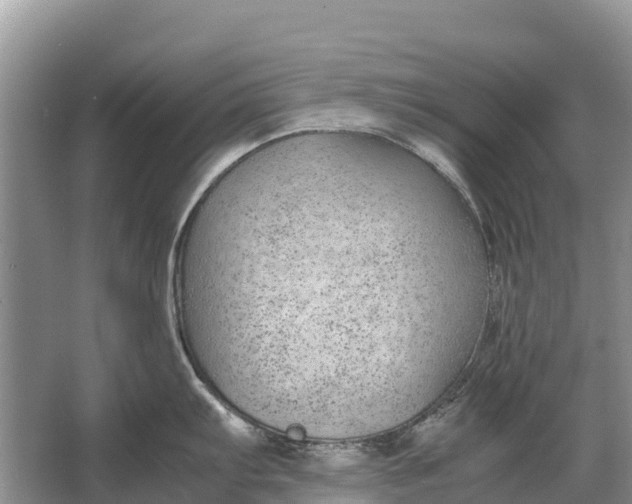 X0000064771103200602241944