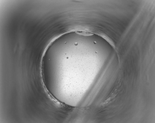 X0000064771104200602241944