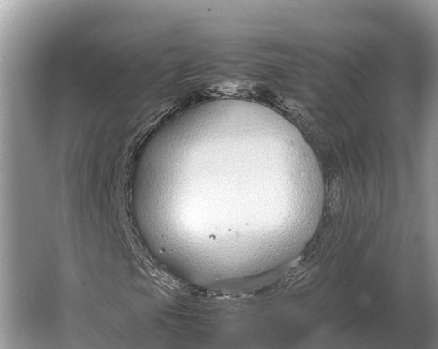 X0000064771105200602241943