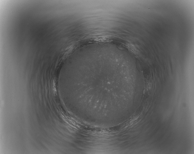 X0000064771106200602241943