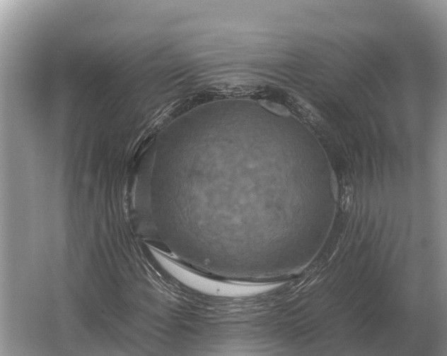 X0000064771108200602241943