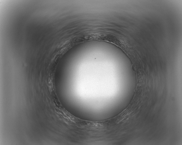 X0000064771109200602241943