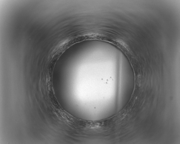 X0000064771111200602241943