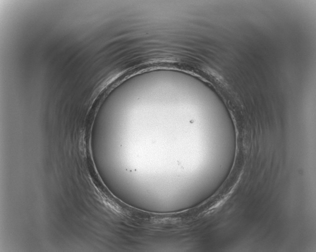 X0000064771113200602241943