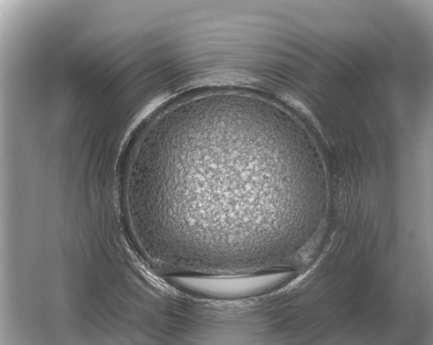 X0000064771114200602241943