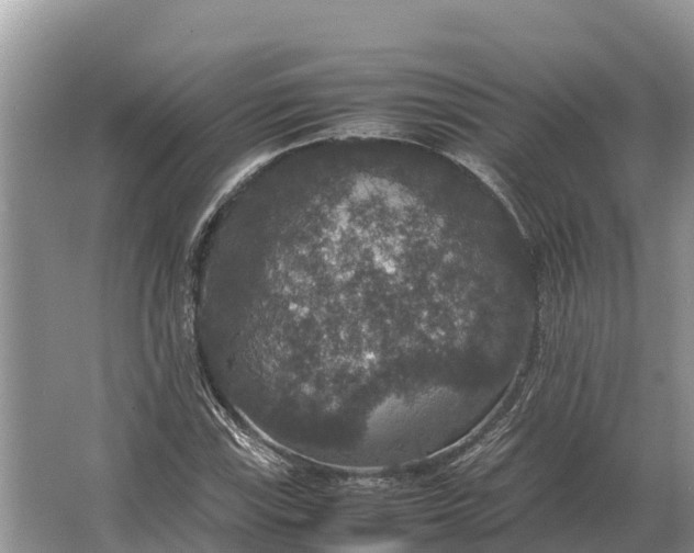 X0000064771115200602241943