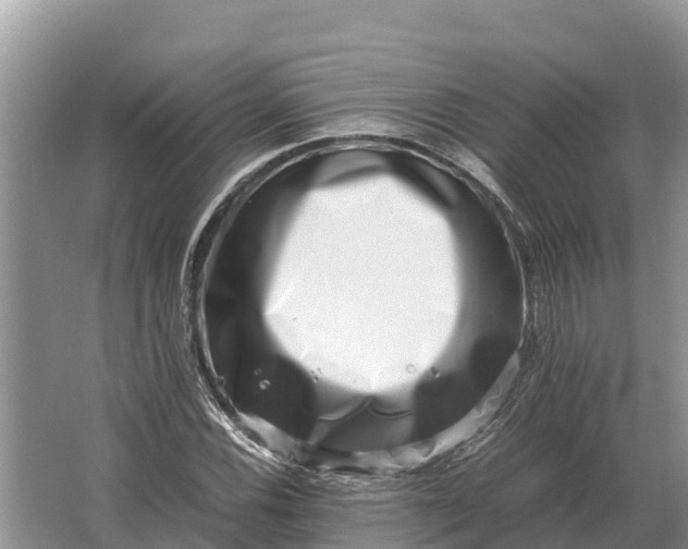 X0000064771116200602241943