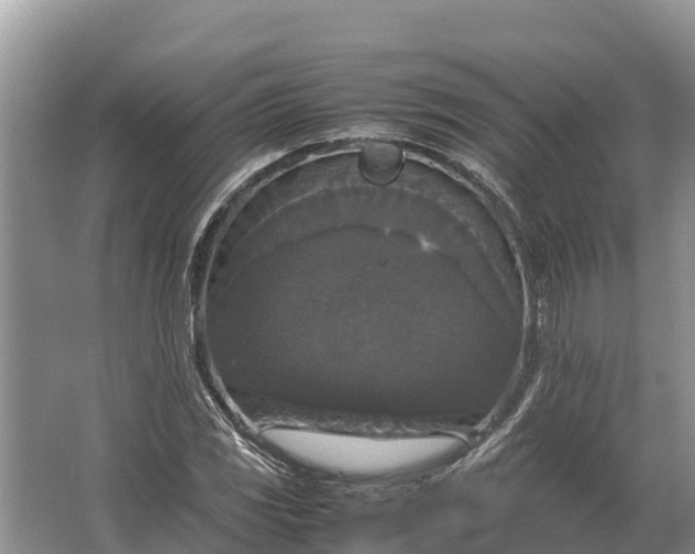 X0000064771117200602241943