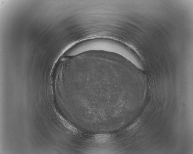 X0000064771118200602241943