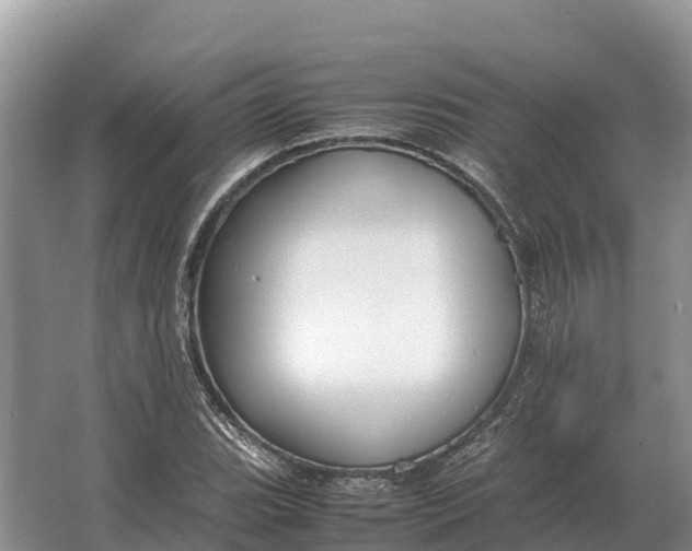 X0000064771119200602241943