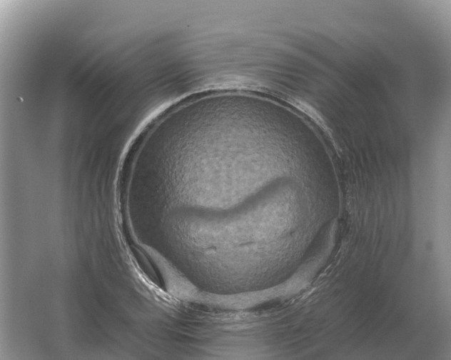 X0000064771120200602241943