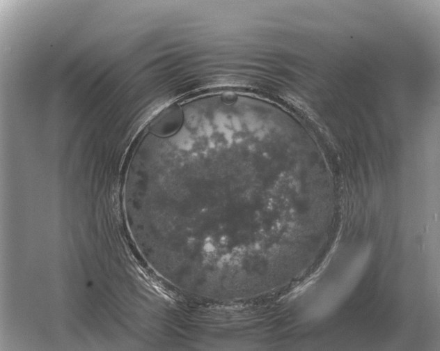 X0000064771121200602241943