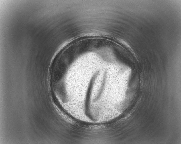 X0000064771122200602241943