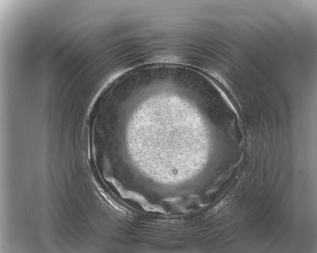 X0000064771123200602241943