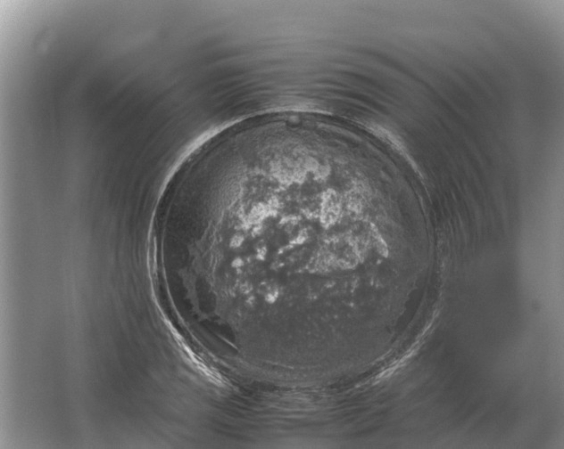 X0000064771125200602241943